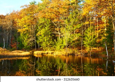 Pond In White Mountain National Forest, New Hampshire, USA.