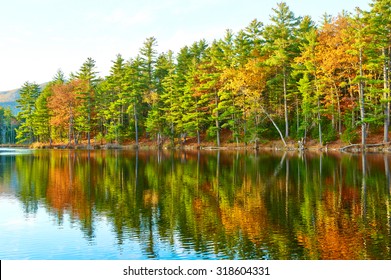 Pond In White Mountain National Forest, New Hampshire, USA.