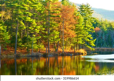 Pond In White Mountain National Forest, New Hampshire, USA.