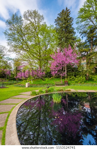 Pond Wj Beal Botanical Garden Michigan Stock Photo Edit Now