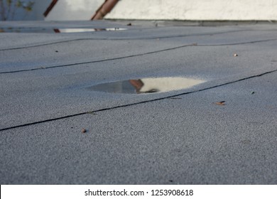 Ponding rainwater on flat roof after rain is result of drainage problem. Roof leaking, settling or sagging is result of framing issues, rotten or saturated sheathing.