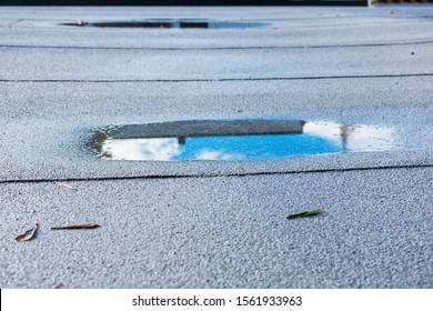 Ponding rainwater on flat roof after rain is result of drainage problem. Roof leaking, settling, sagging, framing issues, rotten or saturated sheathing. - Shutterstock ID 1561933963
