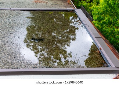Ponding standing water on a flat roof after heavy rain. - Shutterstock ID 1729845640