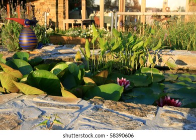 Modern Garden Pond Images Stock Photos Vectors Shutterstock