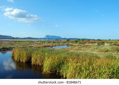 The ponds of "San Teodoro" in Sardinia at the Sunset - Shutterstock ID 81848671