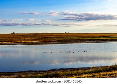 487 Wheatland Images, Stock Photos & Vectors | Shutterstock