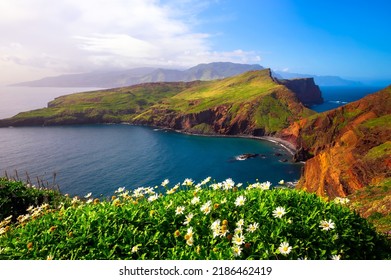 Ponta de Sao Lourenco peninsula with beautiful flowers in the foreground in the Madeira Islands, Portugal.