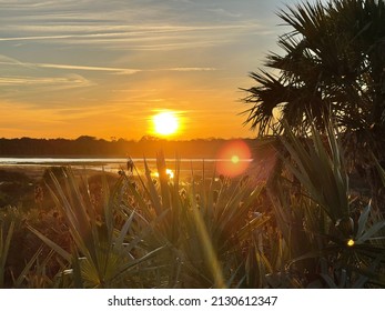 Ponte Vedra, FL  USA - February 14, 2022: Palm Trees at Ponte Vedra Beach and Reserve at Sunset