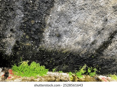 Pontianak, roadside walls with different colors and textures - Powered by Shutterstock