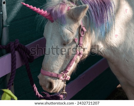A pony dressed as a unicorn at a petting zoo