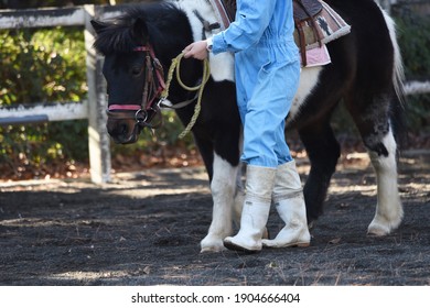 Pony Horseback Riding Experience In A Petting Zoo.