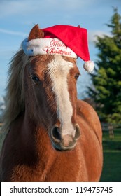 horse xmas hat