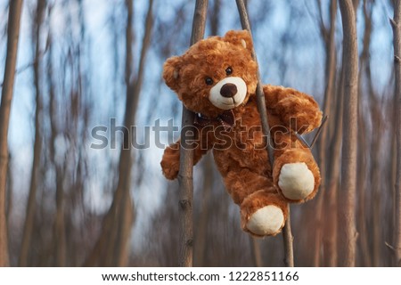 Pooh Bear sits on a tree branch. Winnie Pooh bear. Happy bear Winnie. Bear and sky.                      