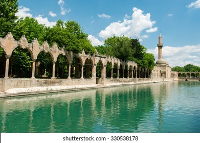 The Pool Of Abraham With Sacred Carp In Sanliurfa, Turkey.