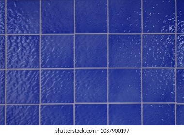 blue water lily stock photo edit now 39345127 shutterstock