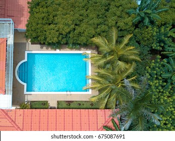 Pool With Blue Water  Aerial View Around Palms