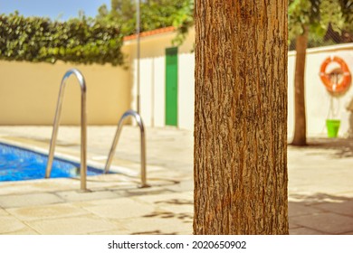 Pool Enclosure With Tree And Lifeguard