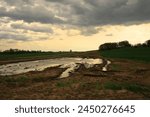 A pool in the field in the background, green fields on the horizon, trees against a cloudy sky with sun rays shining through, Silesia Świerklaniec