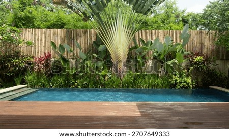A pool with a large palm tree in the background. The pool is surrounded by a wooden fence and a wall