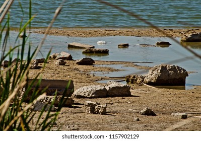 Pool Left From Drying Fishing Lake, Lindsey City Park, Canyon, Texas