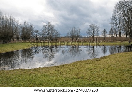 pool in a meadow with reflection of bare trees and a clody sky in Bourgoyen nature reserve, Ghent, Flanders, Belgium