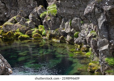 Pool At Þingvellir National Park, Iceland