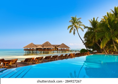 Pool On Tropical Maldives Island - Nature Travel Background