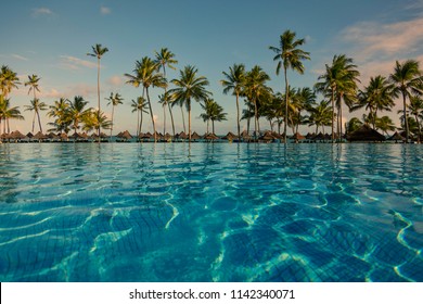 Pool with palm trees near the ocean during a beautiful sunset in Praia do forte, Bahia, Brazil.