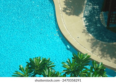 pool in resort top view amoung plant tree - Powered by Shutterstock