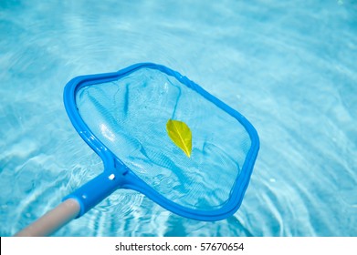 Pool Skimmer Fishing A Leaf