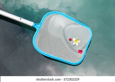 Pool Skimmer With Flower