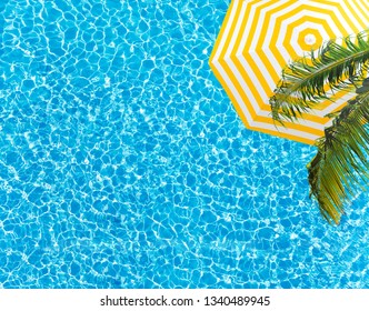 Pool Surface Umbrella And Palm Tree From Above