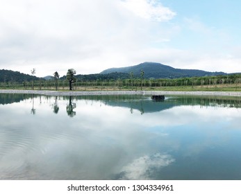 Pool And View of mountain.