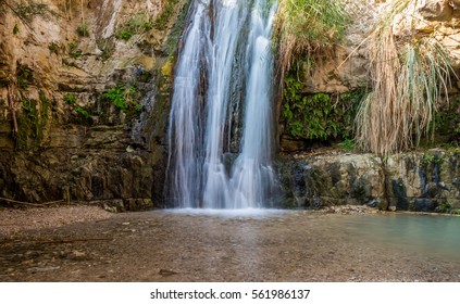 The Pools Of Engedi: A Lush Oasis In The Middle Of The Negev Desert In Israel.