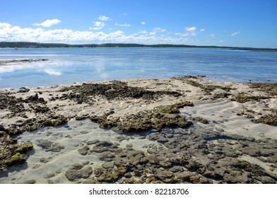 Pools Of Maragogi