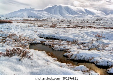 Pools of tundra water just beginning to freeze for the winter in the Alaskan Arctic in a valley in the Brooks Range