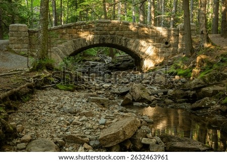 Pools Of Water Reflect The Forest Below Hadlock Brook Bridge in Acadia National Park