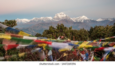 Poonhill view of Annapurnas. Warm pink and orange sunrise light over Annapurna mountain range with blue sky and beautiful clouds, prayer flags on Poon hill in Himalayas, Nepal. 