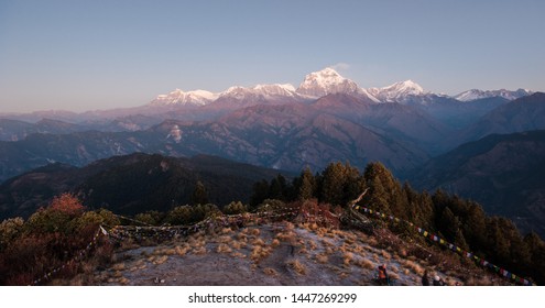 Poonhill view of Annapurnas. Warm pink and orange sunrise light over Annapurna mountain range with blue sky and beautiful clouds, prayer flags on Poon hill in Himalayas, Nepal. 