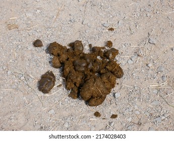 2,222 Old poop Images, Stock Photos & Vectors | Shutterstock