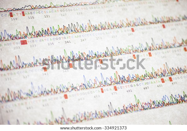 Poor DNA sequencing result
sheet