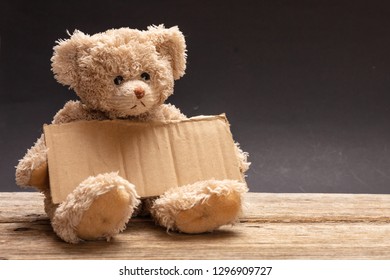 Poor Homeless Child Begging. Teddy Bear Sad, Holding A Blank Cardboard Sign, Sitting In Black Background, Copy Space