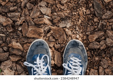 A poor man wearing torn suede sneakers with holes in them stands on a tree bark in the forest. Photography, nature walk.