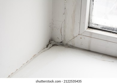 Poor Quality Windows. Due To Poor Ventilation, Poor-quality Installation Of Plastic Windows Caused The Appearance Of Black Fungus On The Windows And Window Sills. Mold Is A Health Hazard.