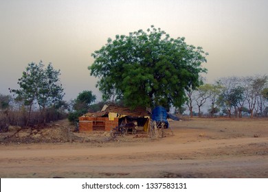 Poor Ryot's (peasant's) Hut On The Edge Of The Field And In The Background Old Lush Indian Melia (Azadirachta Indica)