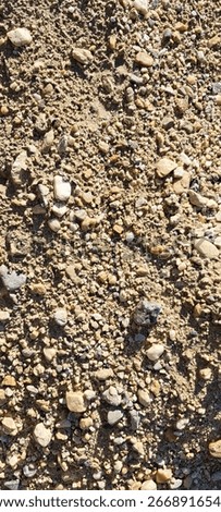 poorly sorted clastic sediments (pebbles, gravels, and sands) on the ground