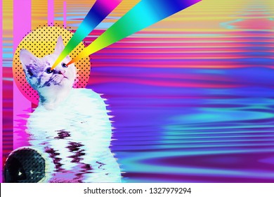 Pop Art Astronaut Cat Collage With Rainbow Rays, Trendy Contemporary Concept Design, Vibrant Vapor Wave Style Background. 
