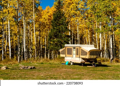 Pop Up Camper Trailer Parked In Campsite In Changing Yellow Aspen Tree Forest On Sunny Fall Morning