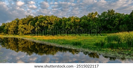 Popcorn clouds reflect on the open water while morning light lights up the forest, cattails and lily pads in a backwater area of the DesPlaines River,DesPlaines St. Fish and Wildlife Area, Will Cty,IL