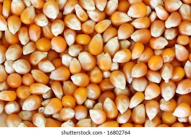 popcorn kernels background